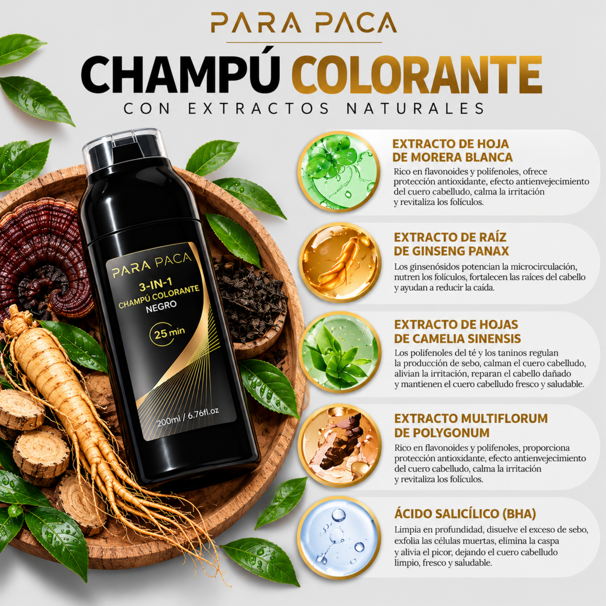 Champú 3 en 1