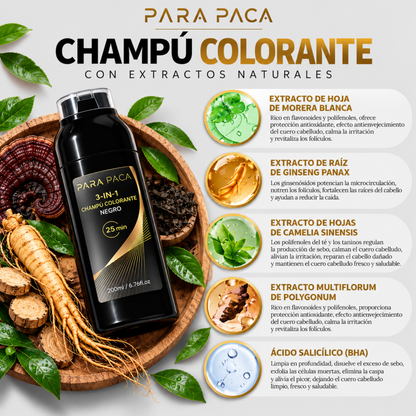 Champú 3 en 1